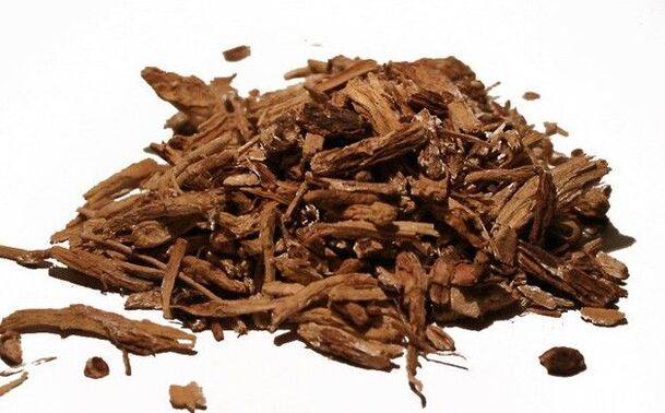 Chicory root an effective folk remedy in the fight against parasites