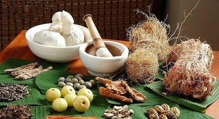 Popular remedies against parasites in the body