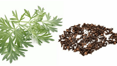 Clavo and onroad to eliminate body parasites