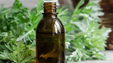 Wormwood use to eliminate body parasites