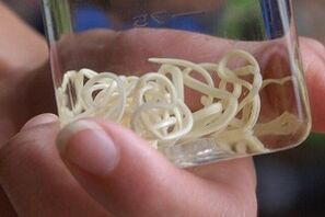 parasites of the human body